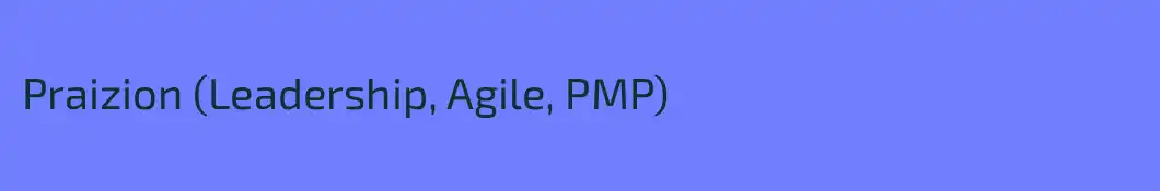 Praizion (Leadership, Agile, PMP)